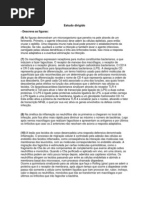 estudo dirigido
