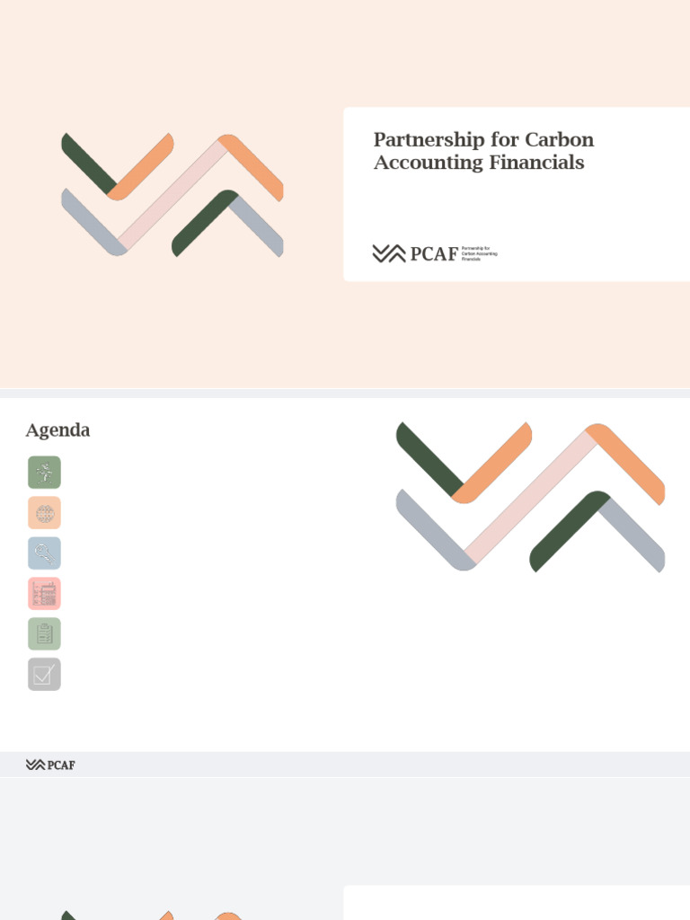 PCAF Guide to Measuring Financed Emissions | PDF | Economies | Business