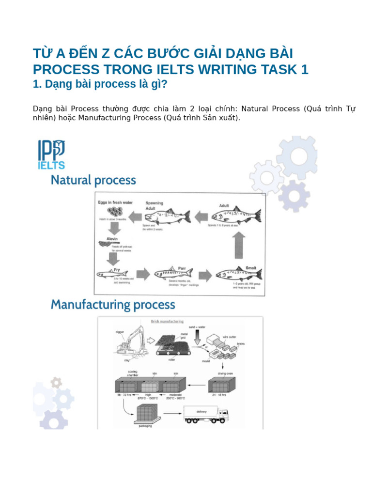 Từ a Đến z Các Bước Giải Dạng Bài Process Trong Ielts Writing Task 1 | PDF