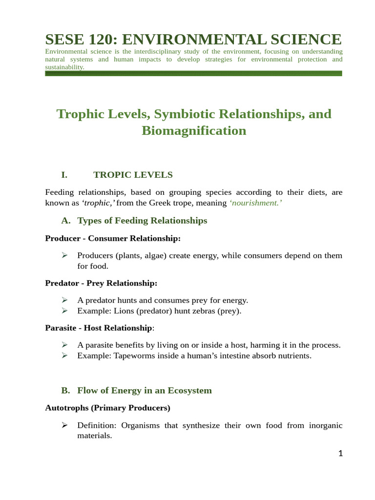 Understanding Trophic Levels in Ecosystems | PDF | Food Web | Decomposition