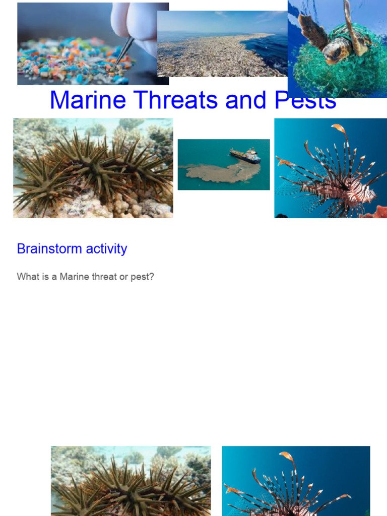 Understanding Marine Threats and Pests | PDF | Oceans | Pollution