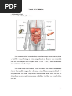Download Tumor Kolorektal by Amri Rizal SN93898306 doc pdf