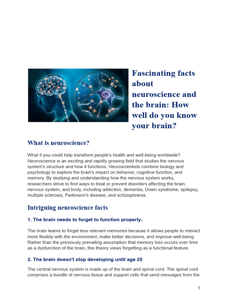 Neurosciences and Our Brain | PDF | Brain | Neuroscience
