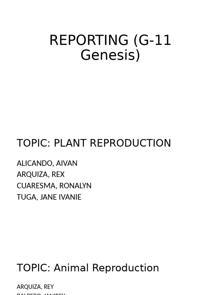 Reporting G 11 Genesis | PDF