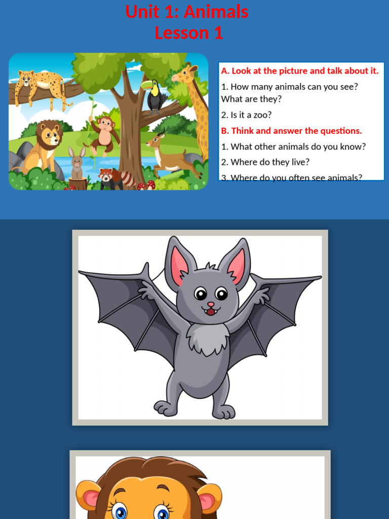 Animals Lesson Plan and Activities | PDF