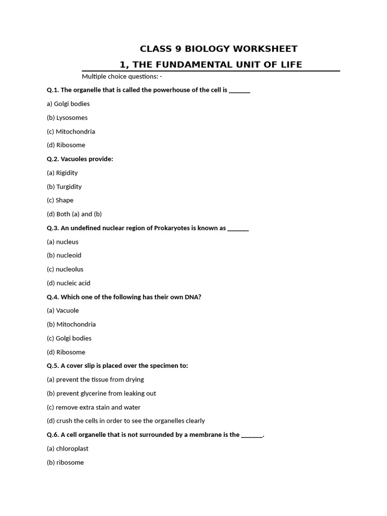 Class 9 Biology Cell Structure Worksheet | PDF | Cell (Biology) | Organelle