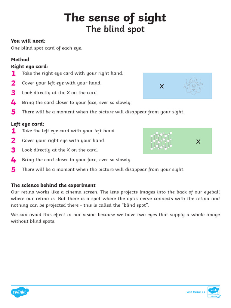 Es2 SC 166 The Blind Spot Science Experiment English Ver 2 | PDF