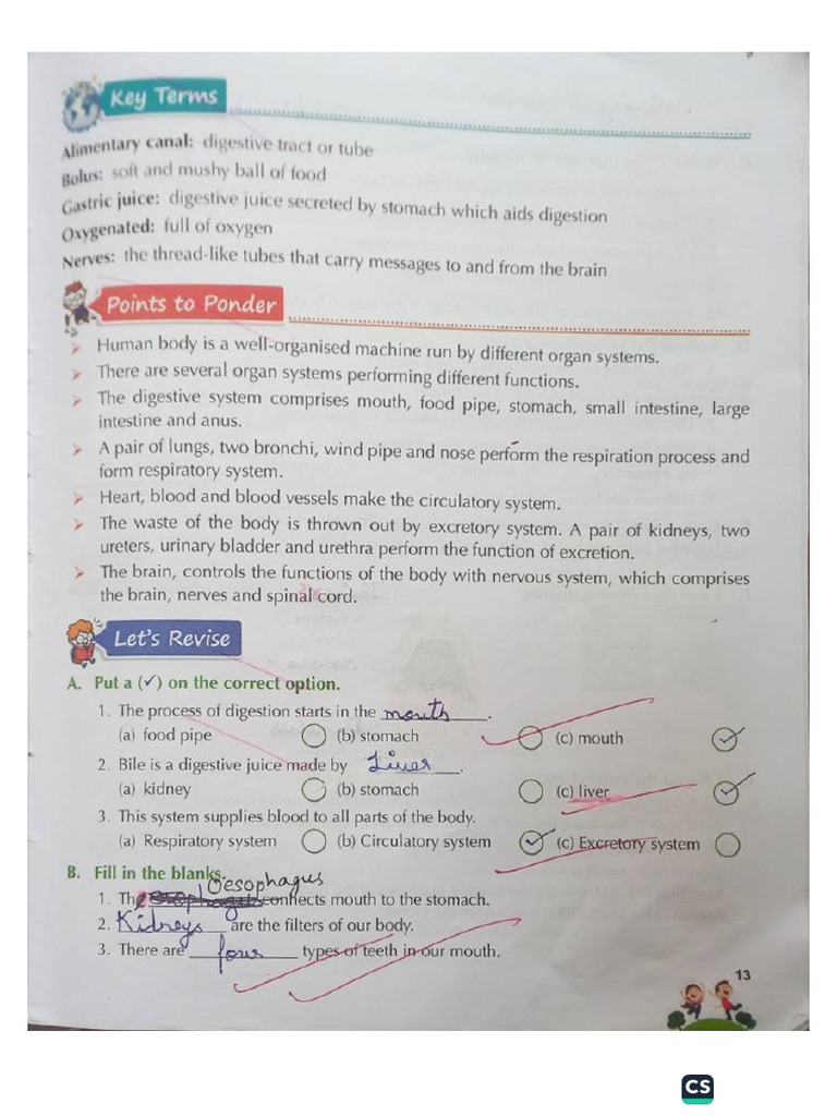 Class 5 Text Book Exercises EVS-1 | PDF