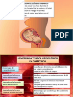 Fisiopatología del embarazo y complicaciones obstétricas