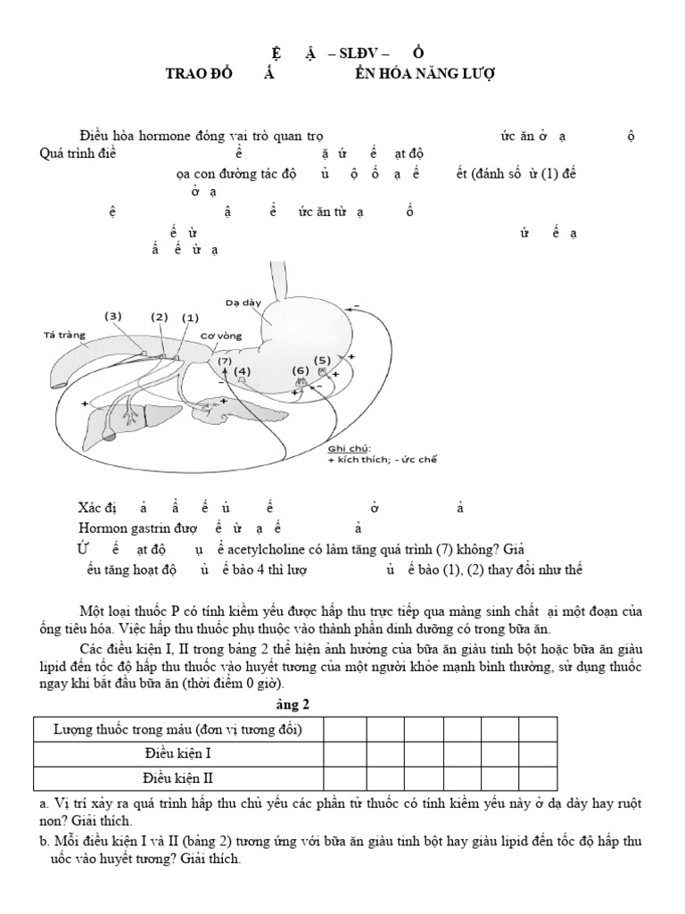 Bu I 1 - SLDV | PDF
