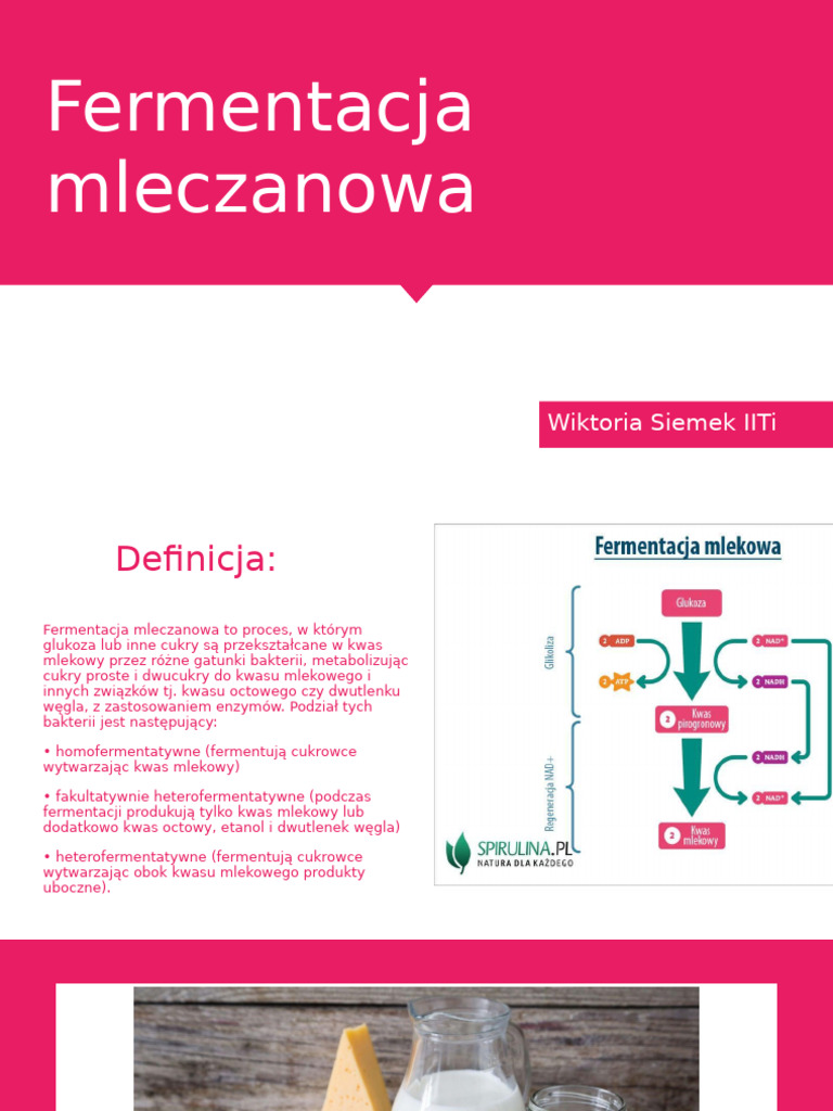 Fermentacja Mleczanowa - Wiktoria Siemek IVTi | PDF