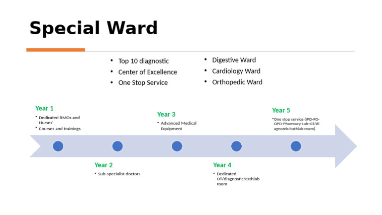 Special Ward Development Plan | PDF