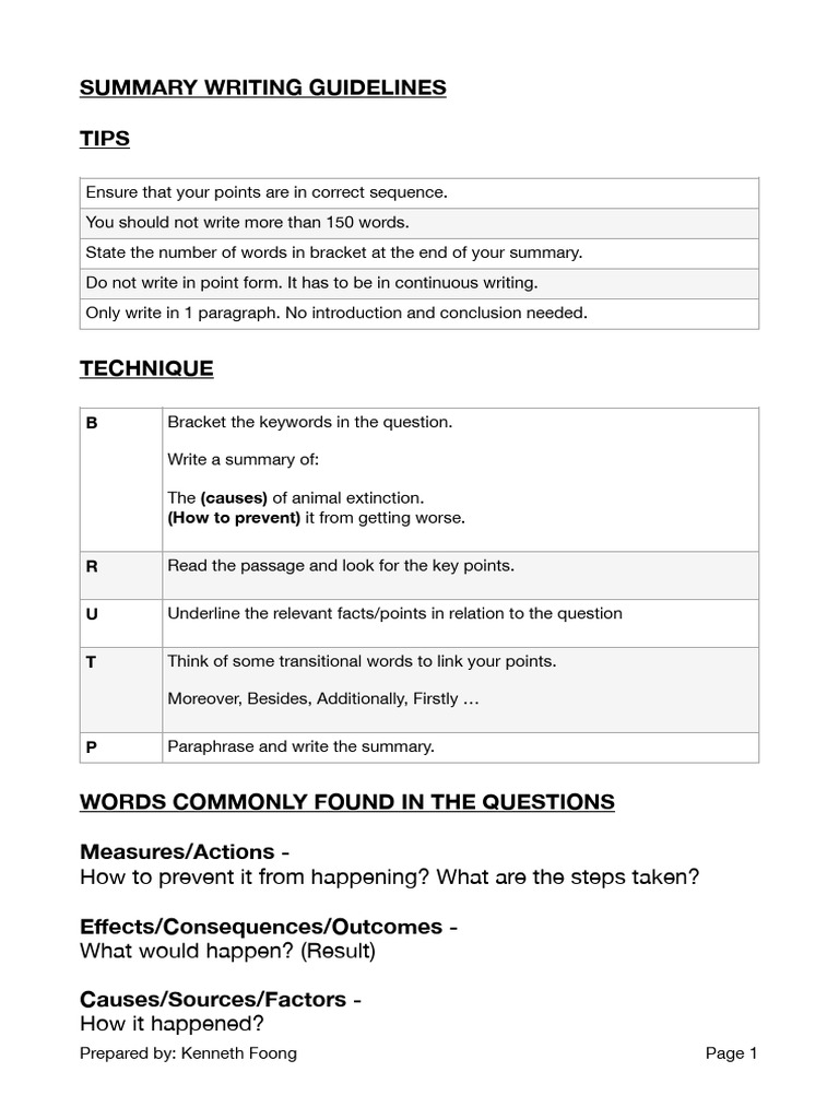 Summary Writing Guidelines for SEO | PDF