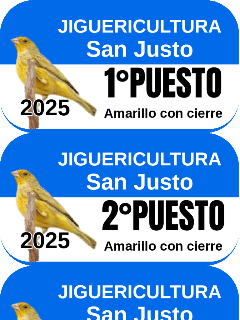 Jigue Ri Cultura | PDF