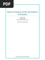 Human Evolution Notes for Class 12 | PDF | Homo | Evolution
