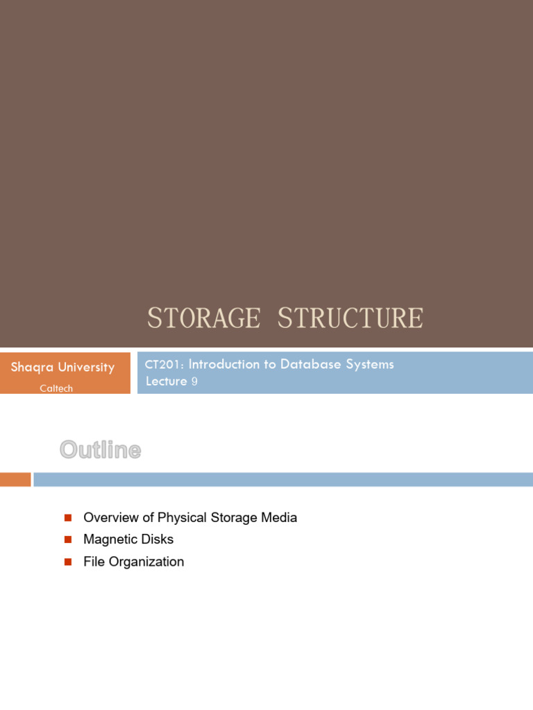 Database Storage Structures Overview | PDF | Computer Data Storage ...
