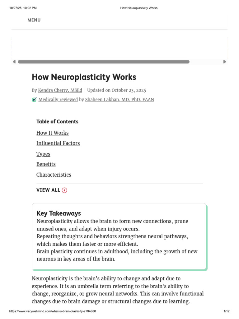 How Neuroplasticity Works | PDF | Neuroplasticity | Brain