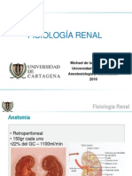 Fisiologia Renal