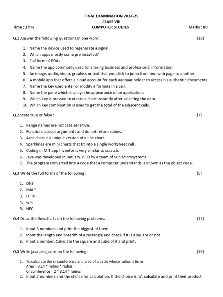 Class VIII Computer Studies Exam 2024-25 | PDF | Area | Application ...