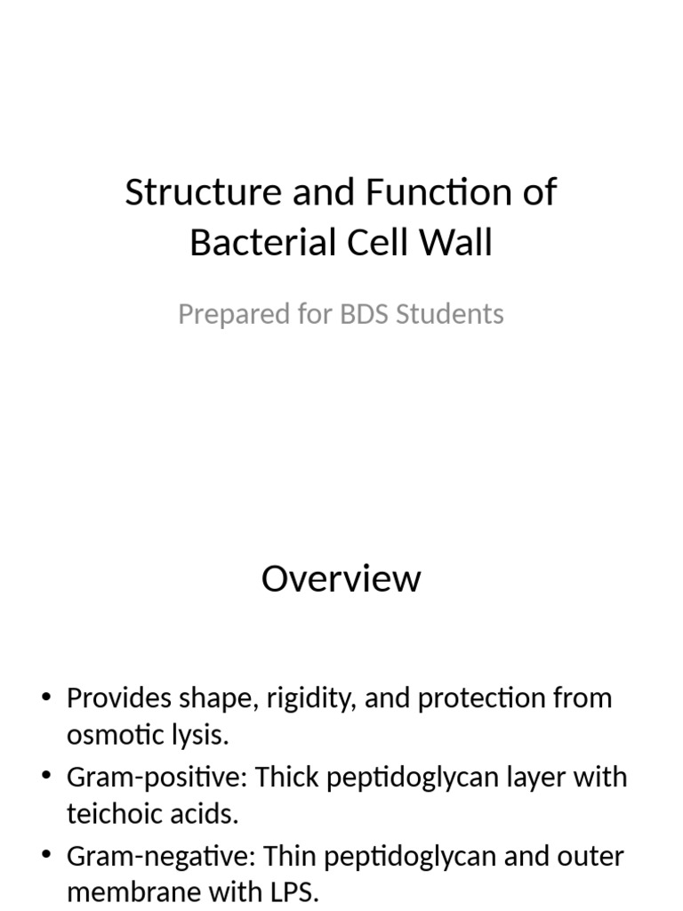 Structure and Function of Bacterial Cell Wall | PDF