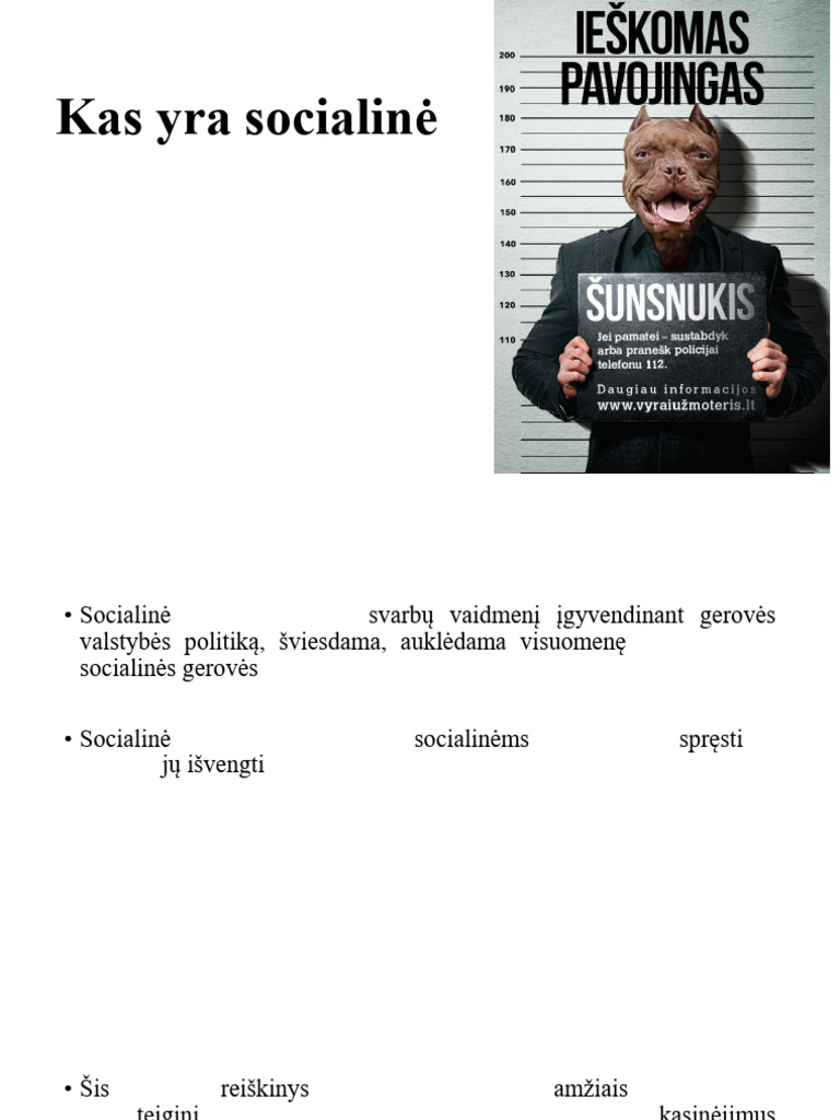 Kas Yra Socialine Reklama | PDF