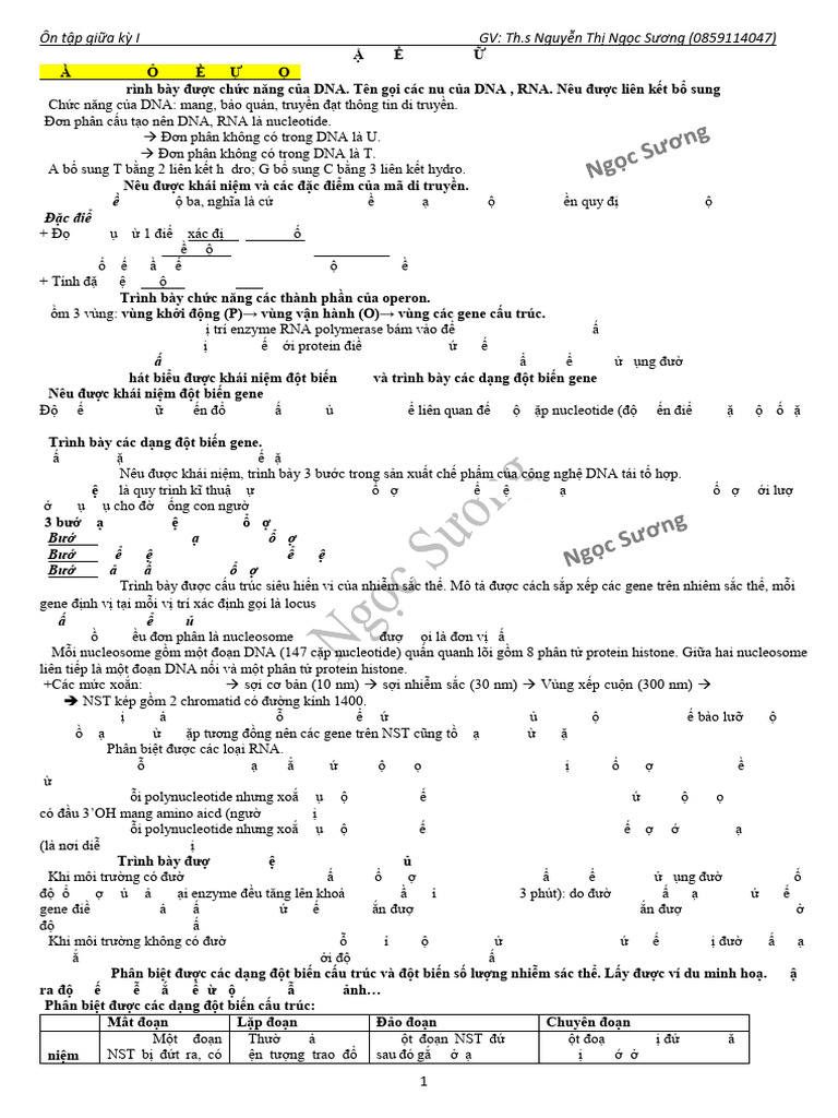 So N Đê Cuong On Tap Gi A Hk1 Sinh 12 (25-26) | PDF