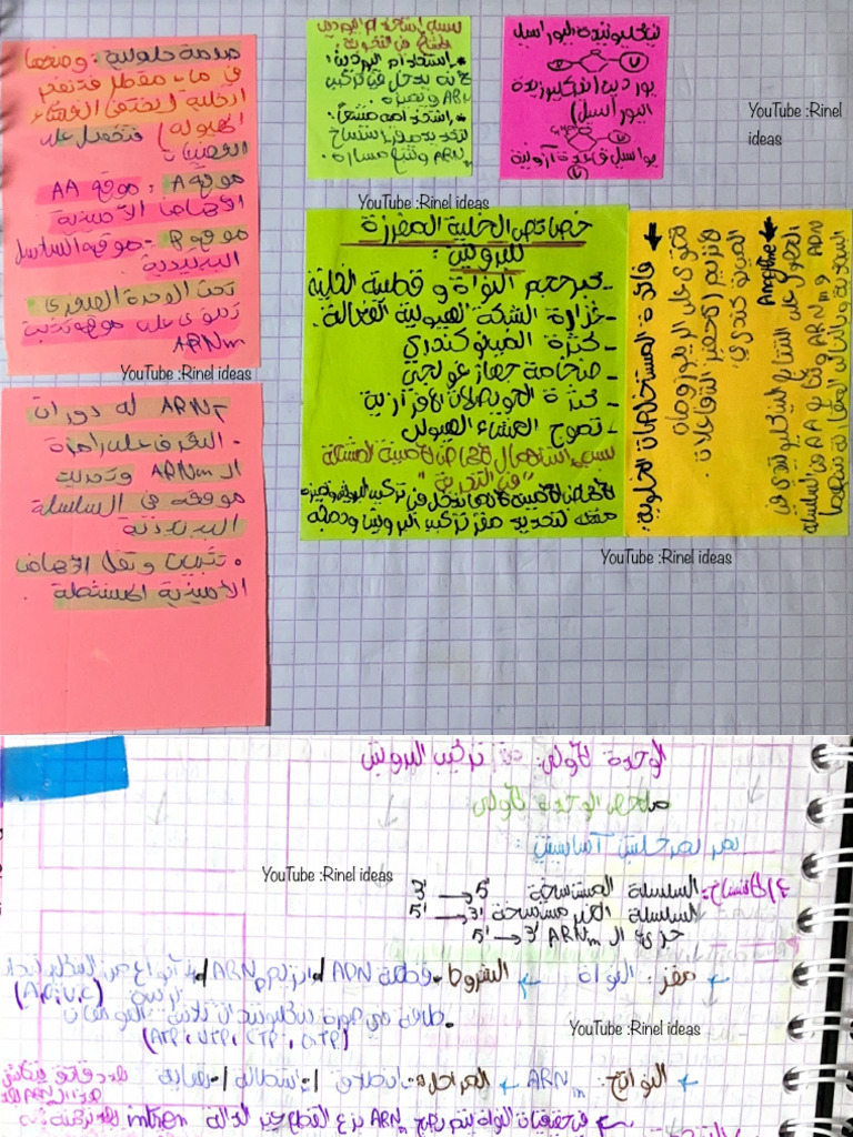 Science Bac 2026 111 | PDF