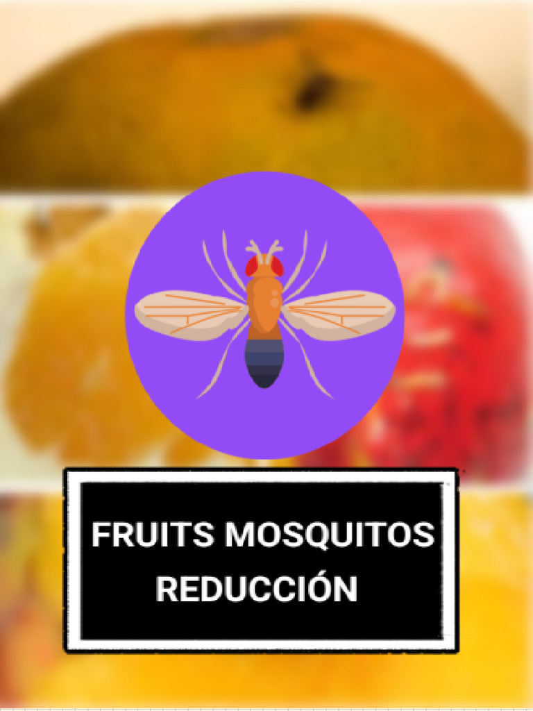 Pdfreader 20250826 2359 Pdf