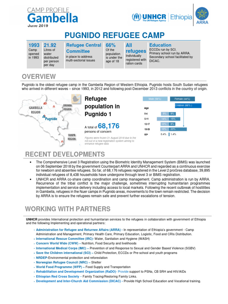 June 2019 - Pugnido 1 - Camp Pro | PDF | Refugee | United Nations High ...