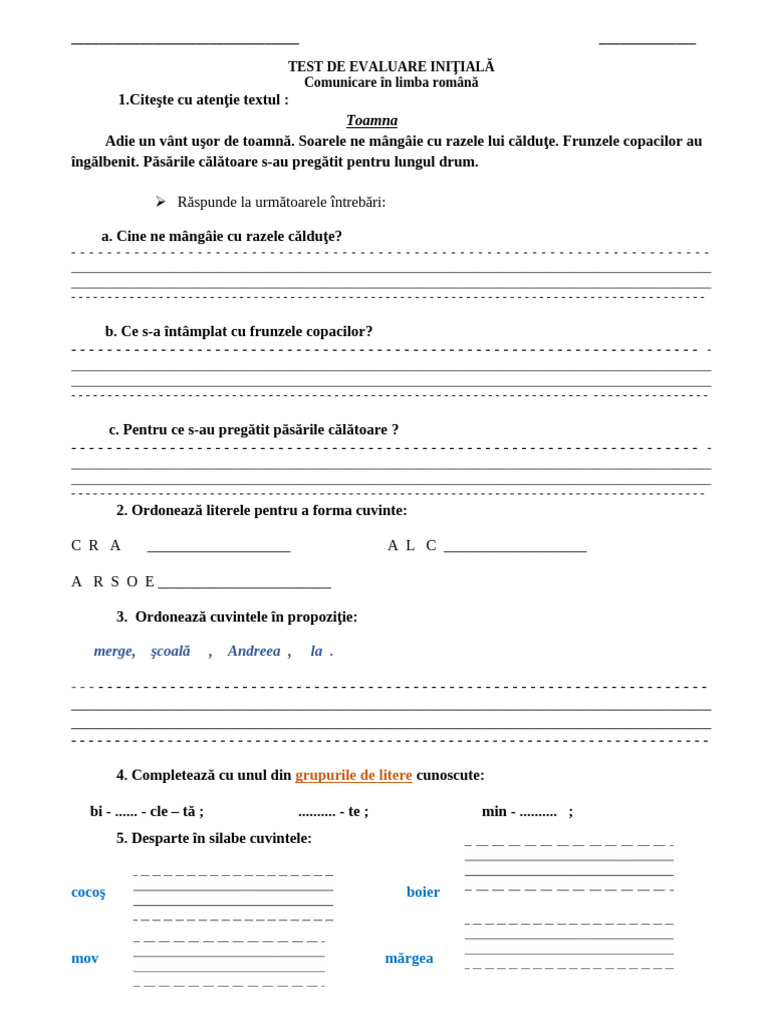 Test de Evaluare Initiala LB - Rom Iulian | PDF
