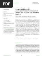 VOHC Accepted Dental Products for Dogs | PDF | Oral Hygiene | Dog Food