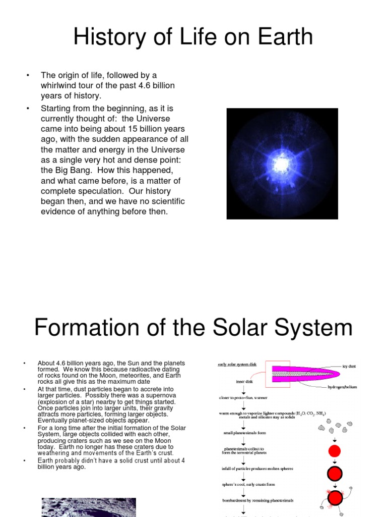 Evolution of Life on Earth Timeline | PDF
