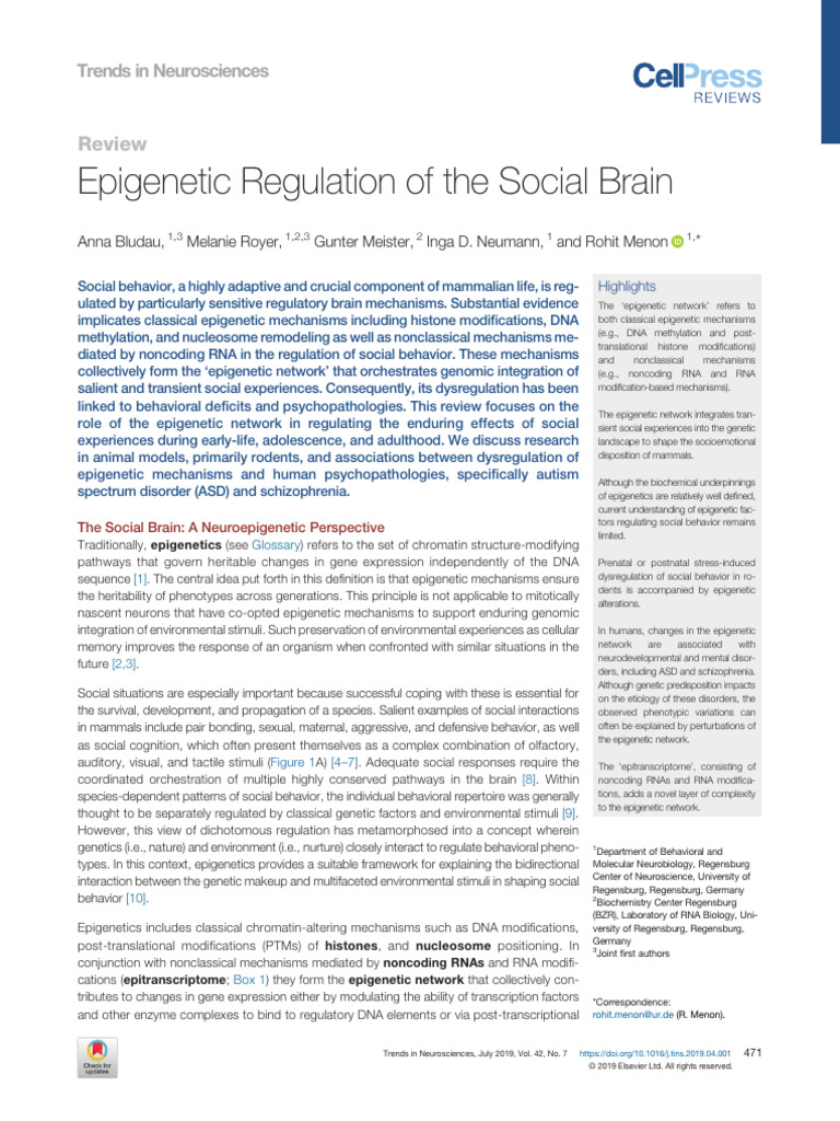 Epigenetics and Social Behavior Insights | PDF | Epigenetics | Histone
