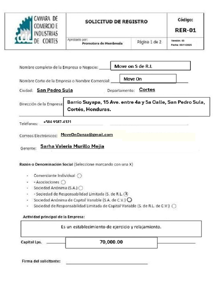 Solicitud de Registro CCIC | PDF