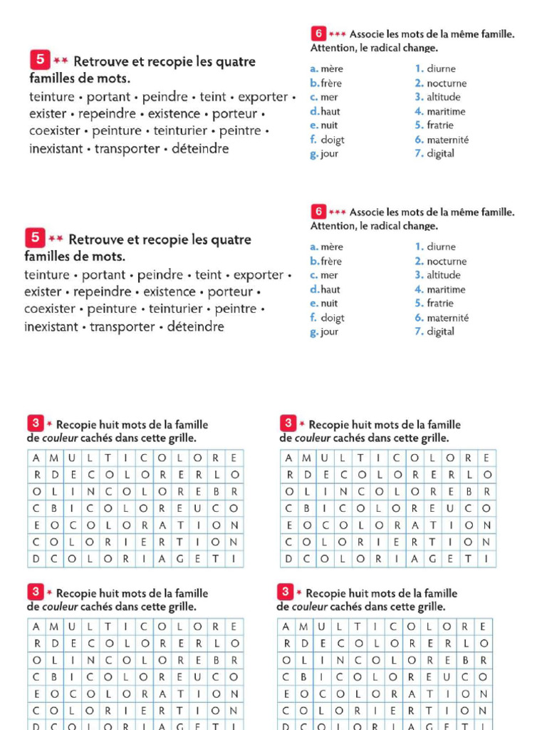 Vocabulaire - Les Familles de Mots - Exercices Différenciés | PDF