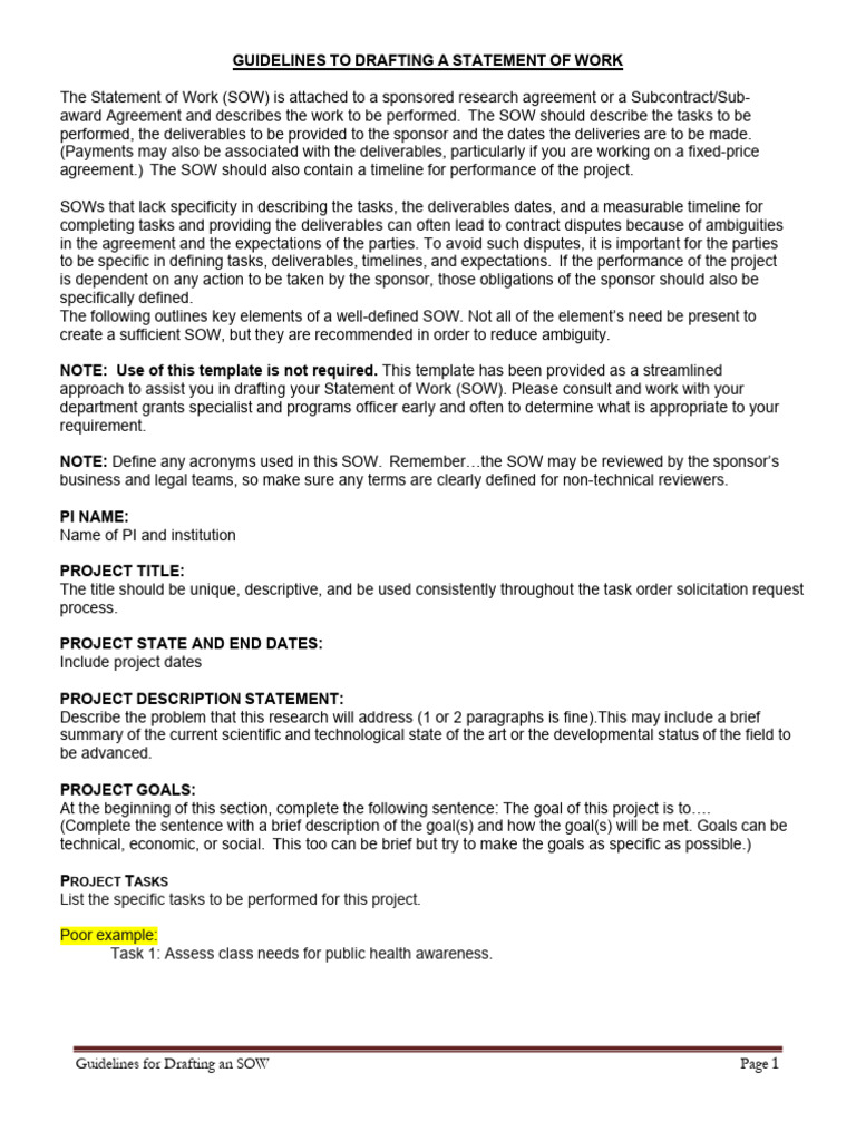 Guidelines for Drafting an SOW | PDF