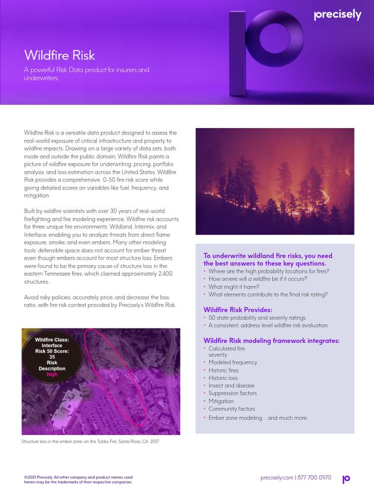 Comprehensive Wildfire Risk Assessment Tool | PDF | Wildfire | Risk