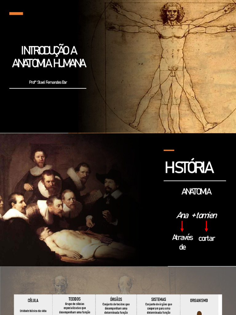 Anatomia Humana: Estruturas e Conceitos | PDF | Anatomia | Anatomia humana