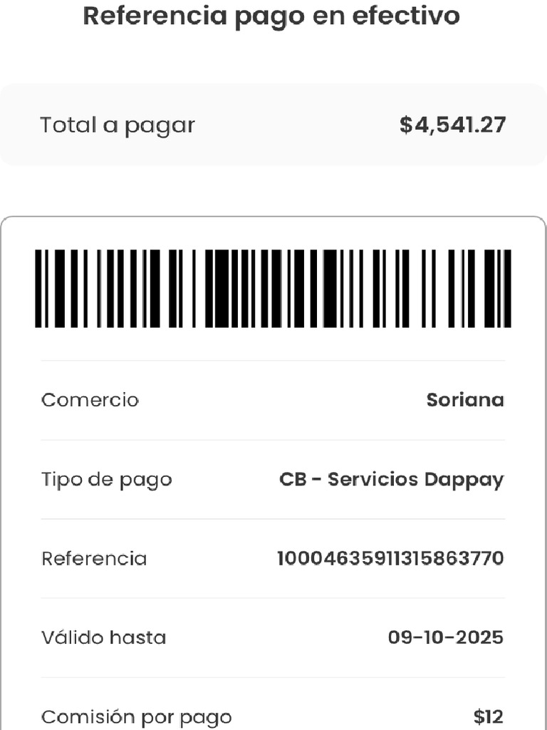 Instrucciones de Pago | PDF