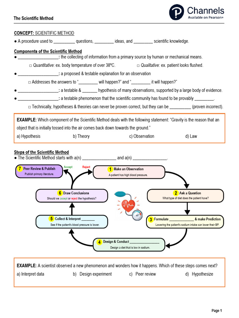 The Scientific Method-Worksheet | PDF | Hypothesis | Scientific Method