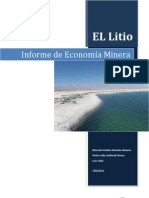 Informe Litio