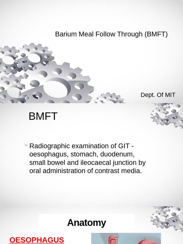 7.BMFT | PDF | Small Intestine | Gastroenterology