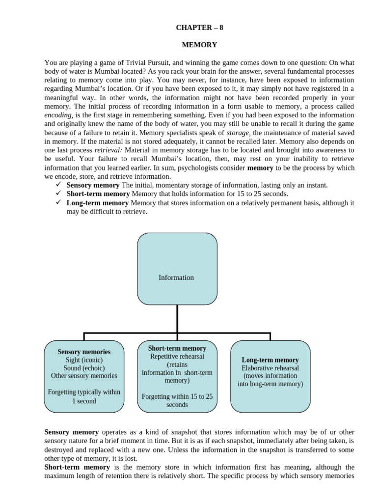 Understanding Memory Processes | PDF | Memory | Recall (Memory)