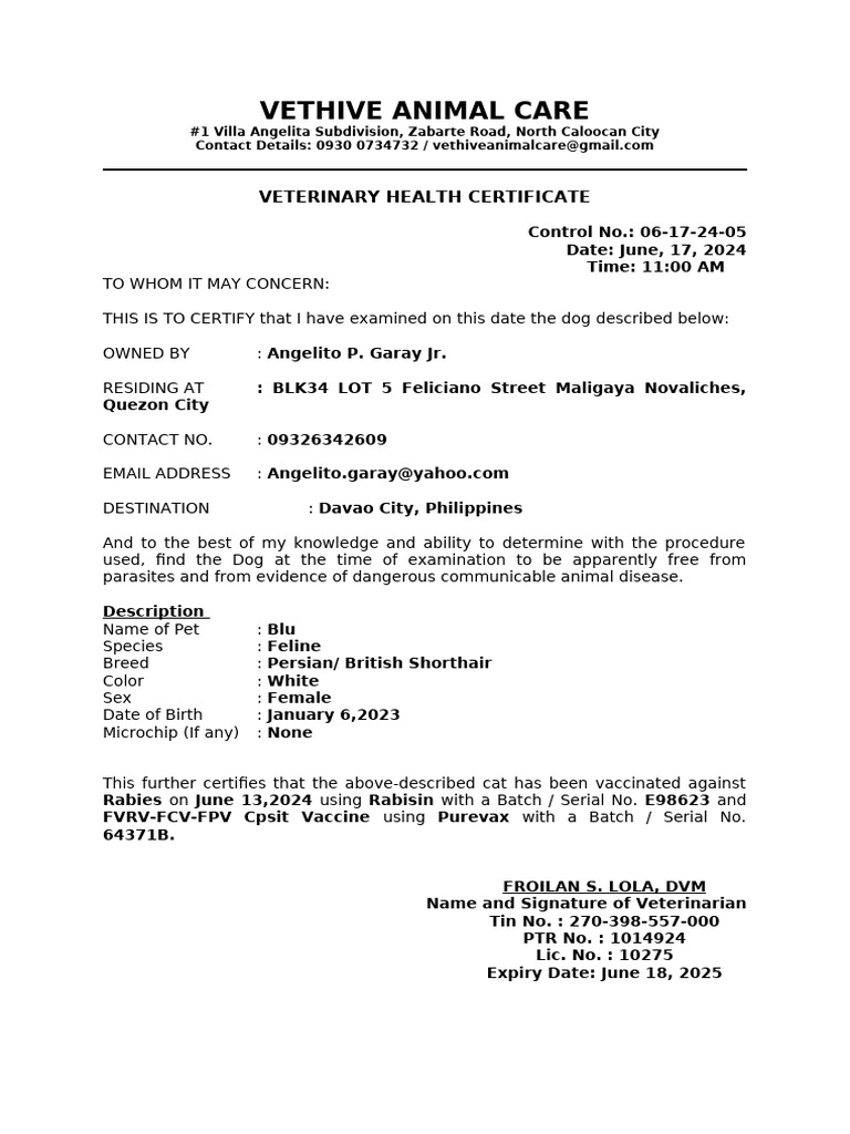 Veterinary Health Certificate for Pets | PDF | Domesticated Animals ...