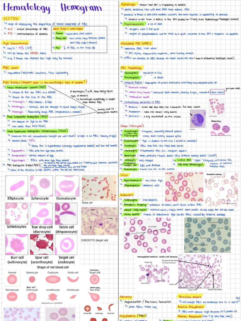 Notes | PDF