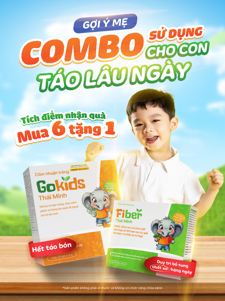 Tờ Rơi Combo Gokid + Fiber | PDF