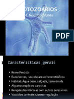 SLIDE PROTOZOÁRIOS novo