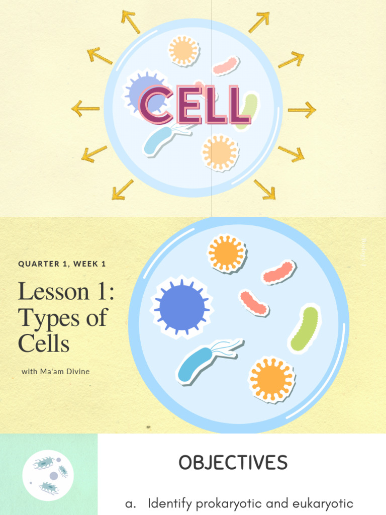Biotech - Q1 - M1 - Lesson 1-Prokaryotic and Eukaryotic Cells | PDF ...