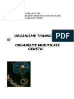 Organisme Modificate Genetic