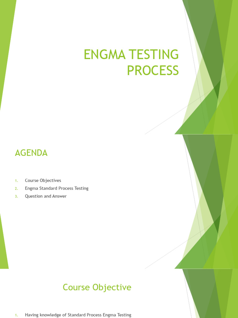 Engma Testing Process | PDF | Software Quality | It Service Management